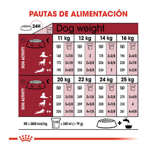 Royal Canin Medium 10+ Ageing pienso para perros, , large image number null